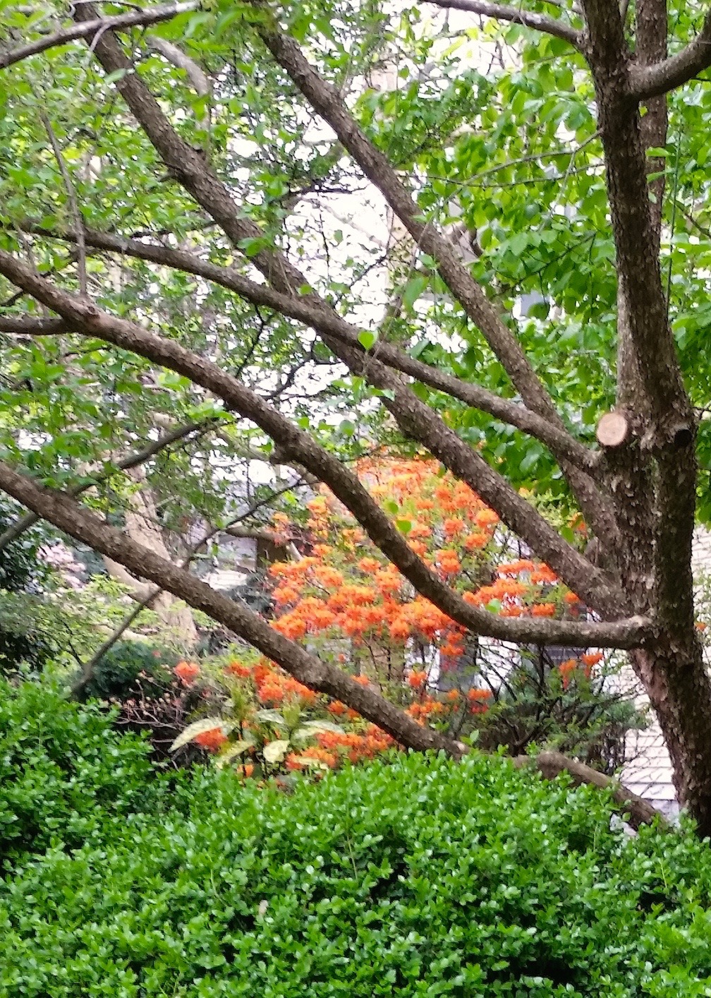 2016-04-11 12.35.15 copy