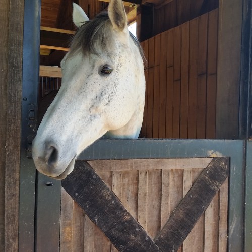 2016-08-21-13-29-49-2