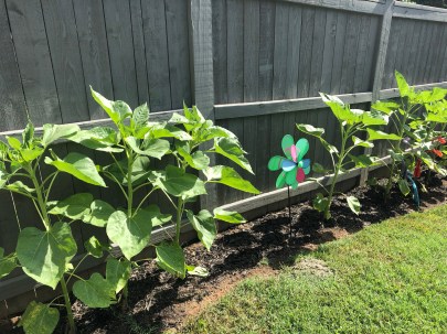 mKwA7S35RMWBRwdRBmH%7g