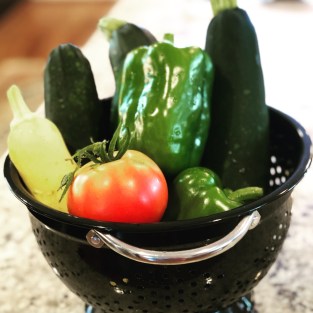 DC1D8833-4E78-40A7-85EB-9C204D1030F6