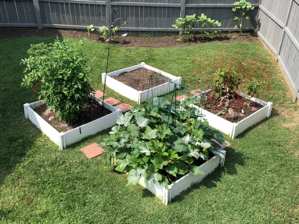 QMYaHcdySfi6yWMlB8yEZQ